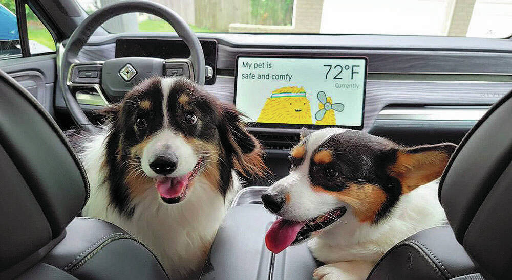The EV startup Rivian has developed a Pet Comfort feature for its R1T pickup and R1S utility vehicle. Photo contributed