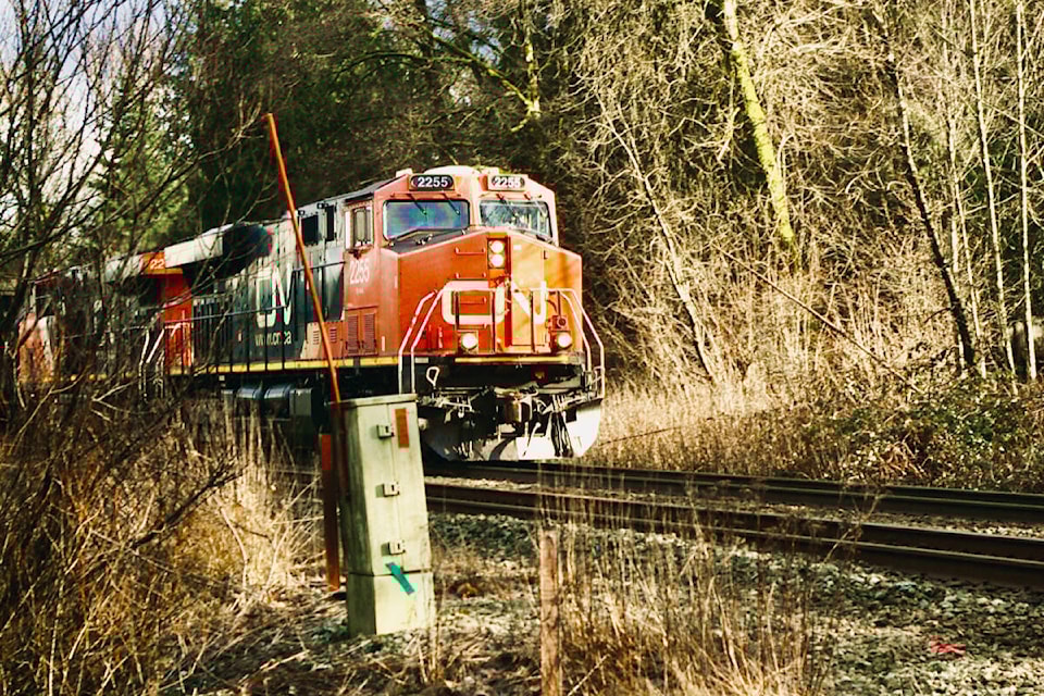Dorothy Mckay shares a series of pictures depicting all four seasons as seen through the eyes of a local resident, including a train pictured north on 208th Street. She also share more, from fallen leaves turning gold along the one-way street in Downtown 91ԭ, to a mother duck swimming with her babes in Brydon Lagoon early in the spring, from a sunset along the western border of 91ԭ capture in late summer, to construction on Brydon Crescent caputred in more damp winter-like conditions. (Special to 91ԭ Advance Times)