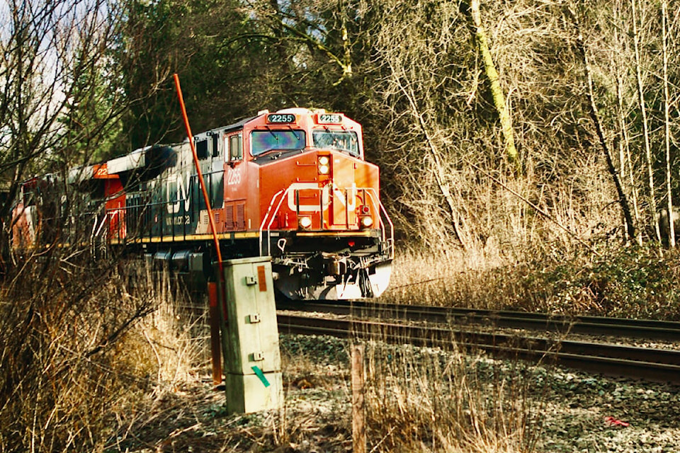 Dorothy Mckay shares a series of pictures depicting all four seasons as seen through the eyes of a local resident, including a train pictured north on 208th Street. She also share more, from fallen leaves turning gold along the one-way street in Downtown Langley, to a mother duck swimming with her babes in Brydon Lagoon early in the spring, from a sunset along the western border of Langley capture in late summer, to construction on Brydon Crescent caputred in more damp winter-like conditions. (Special to Langley Advance Times)