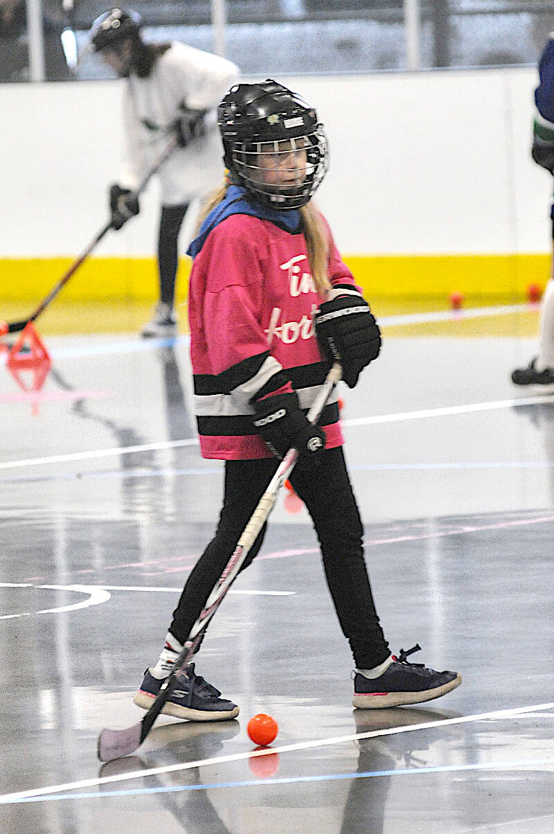 About 30 novice players turned out for a girls-only ball hockey tri-it event at the George Preston Sports Box on Saturday, Jan. 21, part of a campaign to get more girls into the game. (Dan Ferguson/91原创 Advance Times)