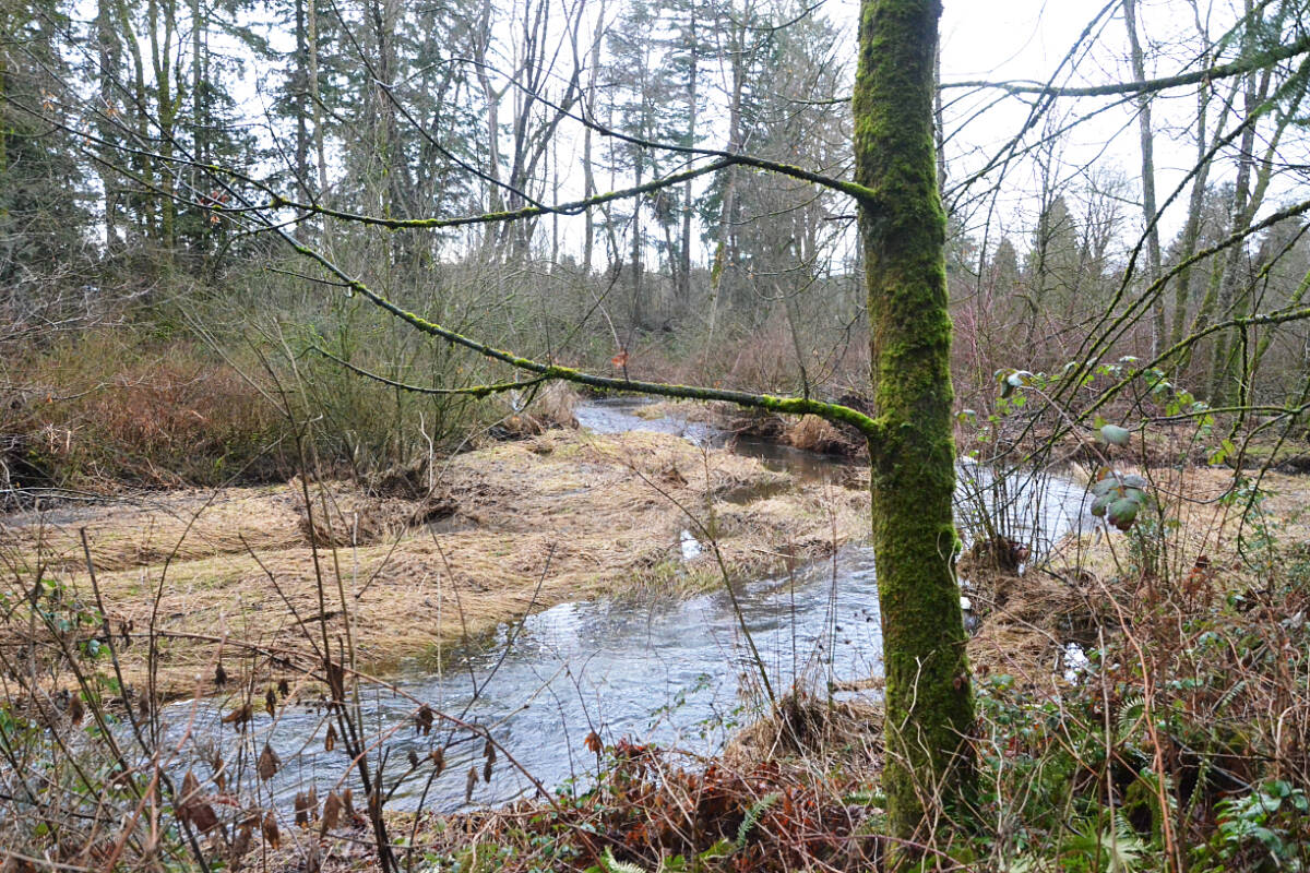 31790645_web1_230206-LAT-MC-BertrandCreek1