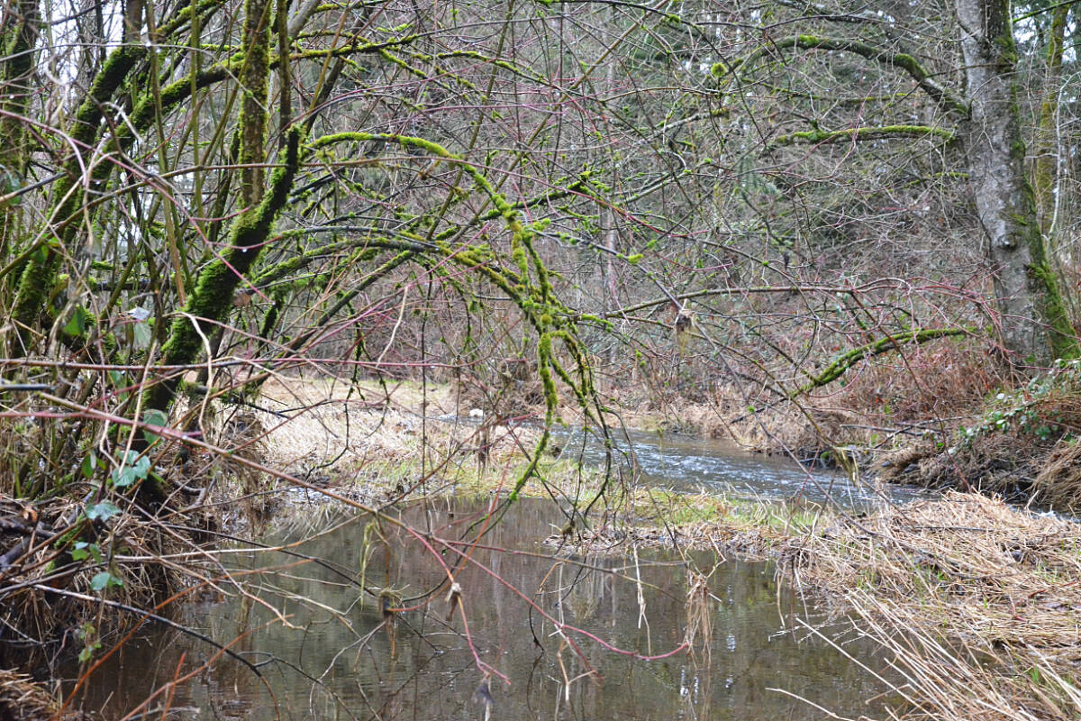 31790645_web1_230206-LAT-MC-BertrandCreek2