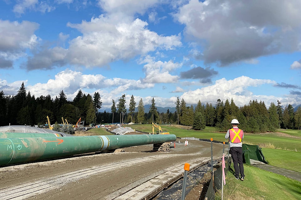 31877669_web1_copy_230215-LAT-RedwoodsPipeline1