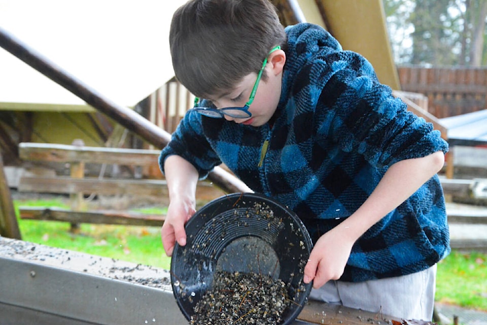Alejandro Mendez, nine, tried gold panning at the Fort on Family Day. (Matthew Claxton/Langley Advance Times)