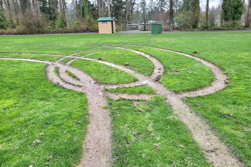 Someone cut locks to get access to the westernmost ball diamonds at Noel Booth Park in Langley’s Brookswood neighbourhood in the 20300-block of 36th Avenue at the beginning of the long weekend, and used a vehicle to tear up the field. Langley Fastball Association president Jeff Clegg called it ‘pretty demoralizing.’ (Dan Ferguson/Langley Advance Times)