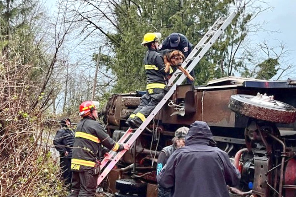 32524818_web1_230425-LAT-DF-dog-rescue_1