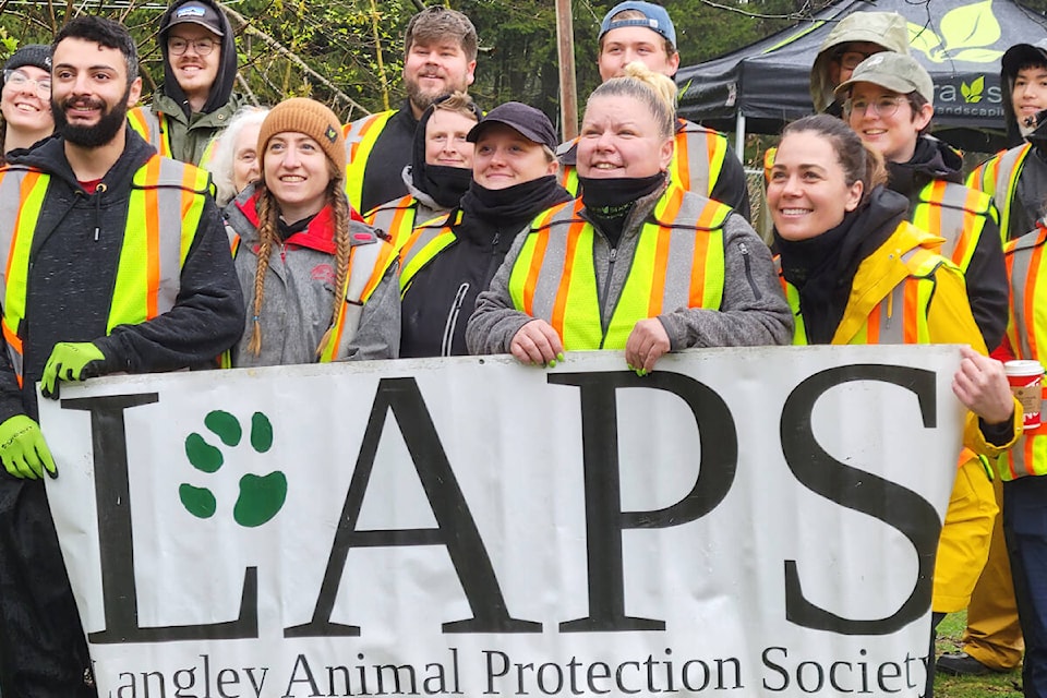 Nearly 40 volunteers showed up Sunday, April 23, to rebuild a dog play area at Langley Animal Protection Society (LAPS) in Aldergrove. It was part of an annual volunteer ‘day of service” organized by Para Space Landscaping. (Dan Ferguson/Langley Advance Times)