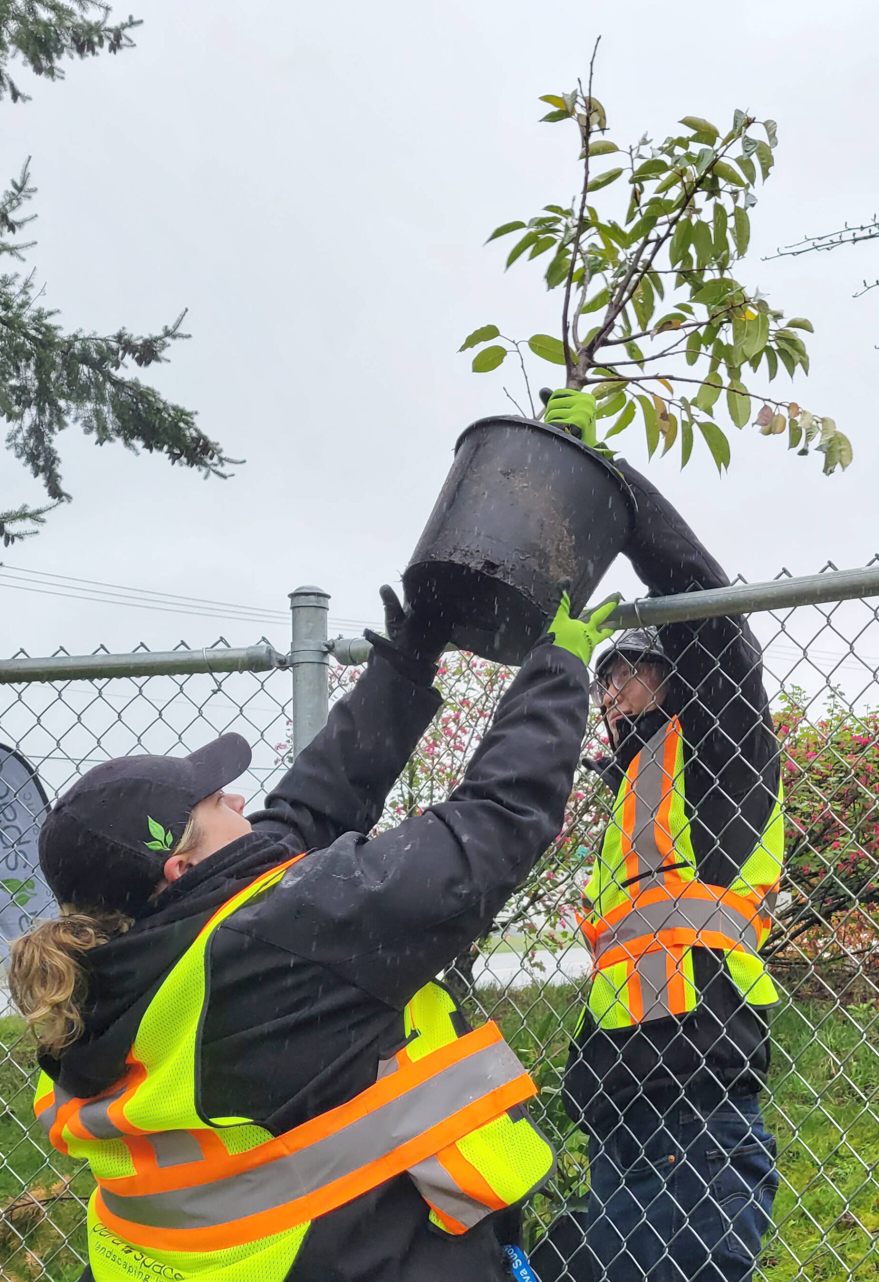 Nearly 40 volunteers showed up Sunday, April 23, to rebuild a dog play area at 91原创 Animal Protection Society (LAPS) in Aldergrove. It was part of an annual volunteer 聭day of service聰 organized by Para Space Landscaping. (Dan Ferguson/91原创 Advance Times)