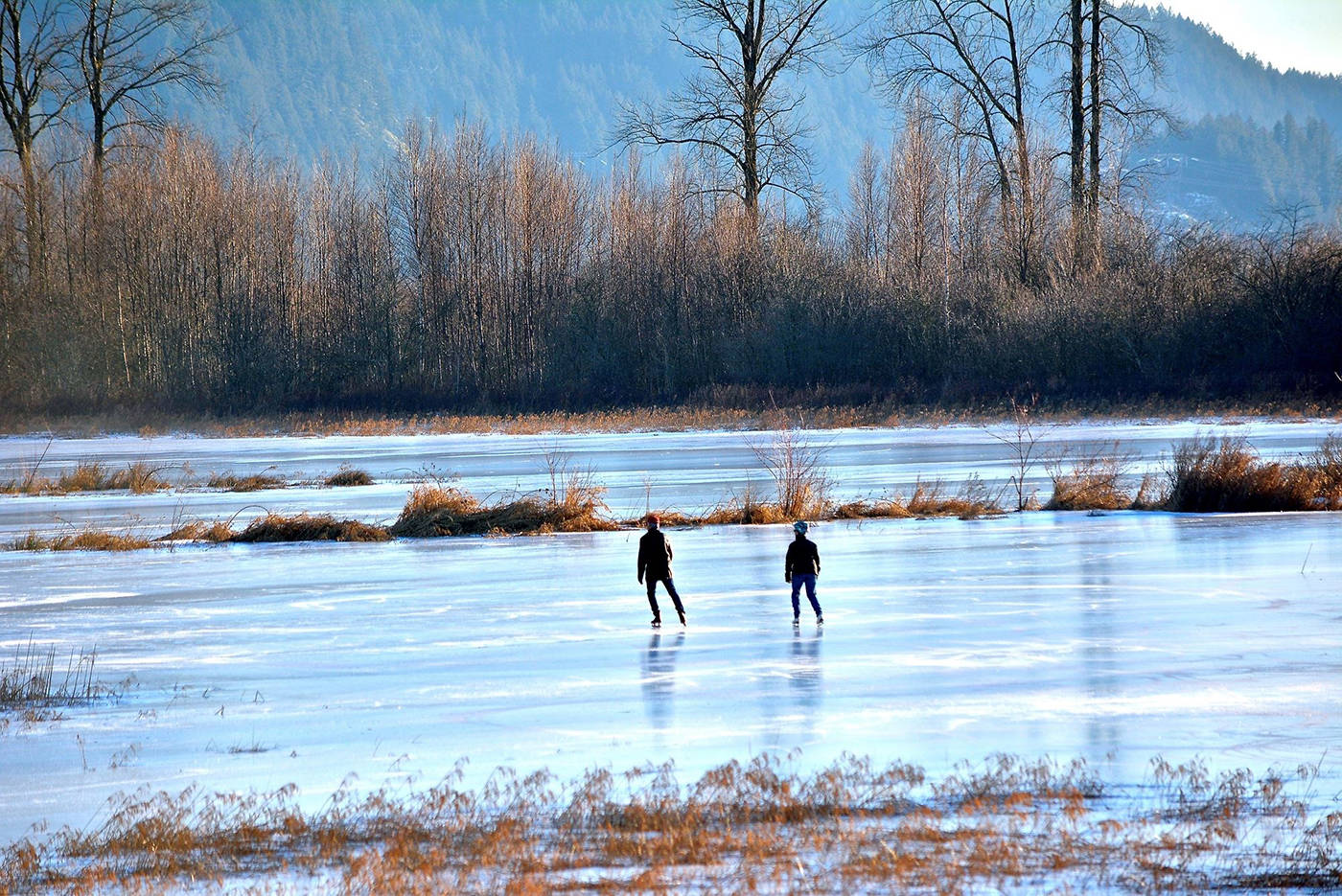 Pitt Lake is an accessible hike for the whole family, and a great place to spot wildlife! (Photo: Liz Boulton)