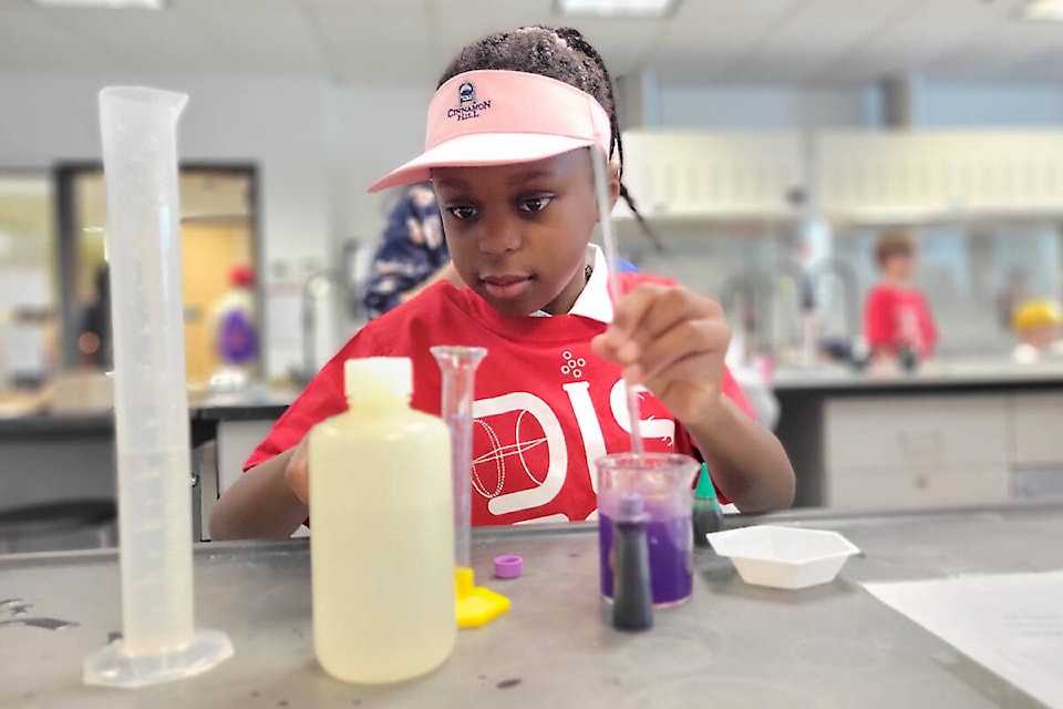 Hannah, 7, from Willoughby, was a study in concentration as she tried her hand at a science experiment on Saturday, May 13, at Kwantlen Polytechnic University in Langley City, which was hosting Science Rendezvous. (Dan Ferguson/Langley Advance Times)