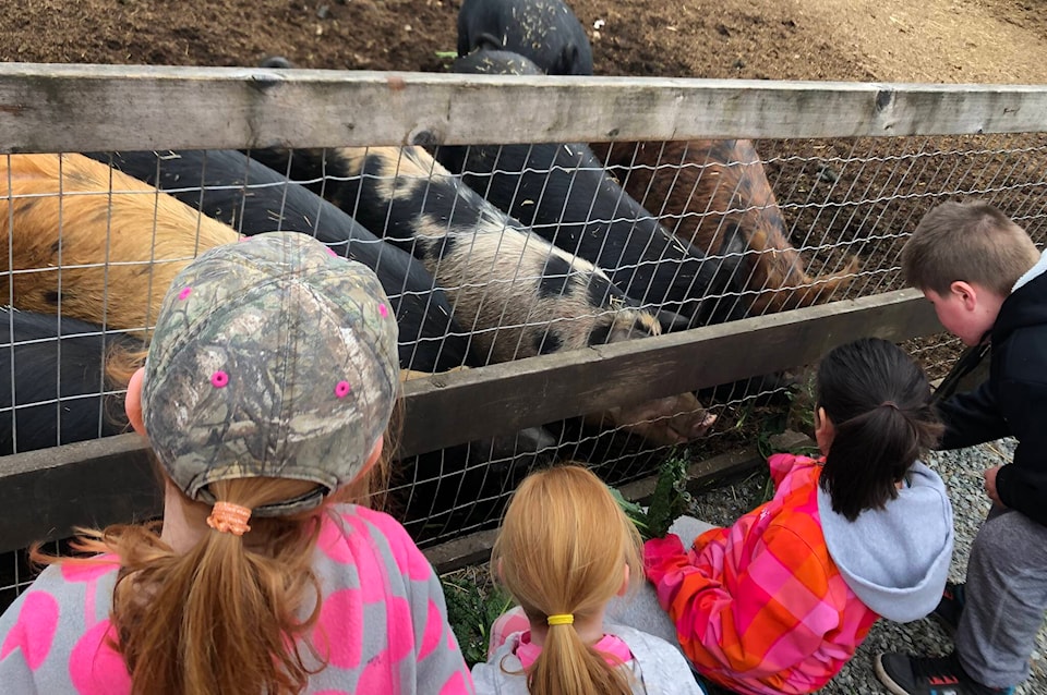 32888859_web1_Aldergrove-Farm-Grove-2019_1