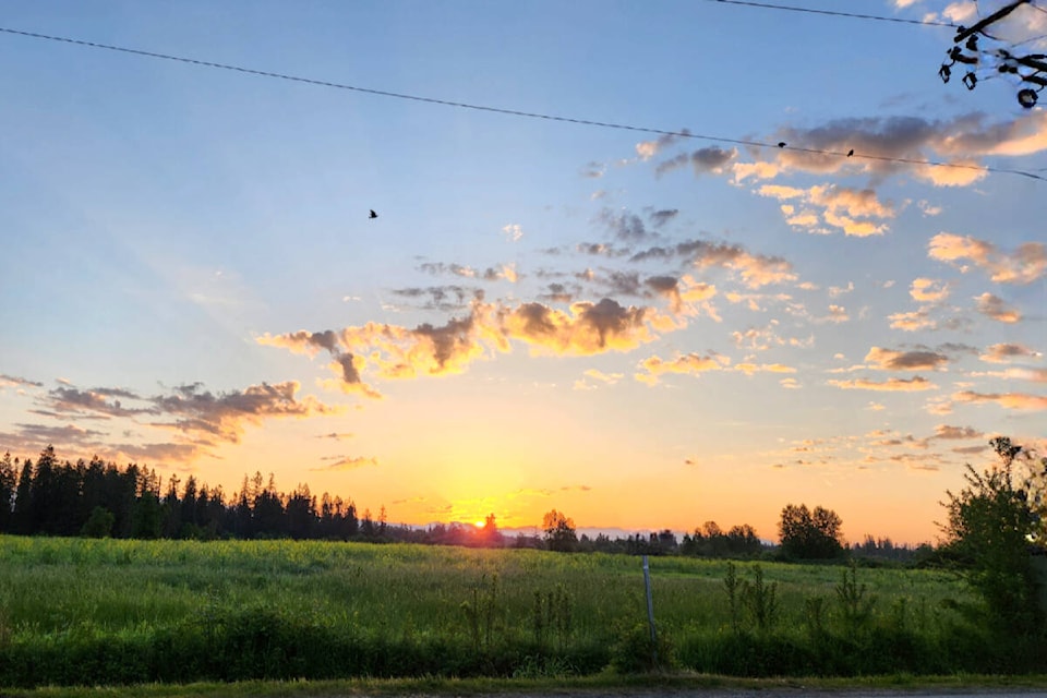 33047073_web1_230616-LAT-RH-LENSKolinskySunrise-Veronique_1