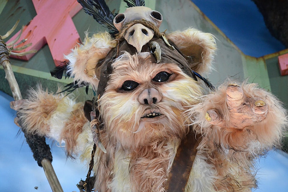 Toy Traders owner Matthew Purdy had a professional propmaster build two life-sized Ewoks for his 91ԭ toy store. (Matthew Claxton/91ԭ Advance Times)