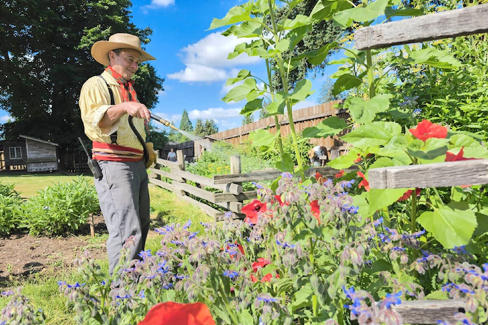 Watering the garden at historic Fort 91ԭ, one of four heritage sites that worked together to celebrate Canada Day. (Dan Ferguson/91ԭ Advance Times)