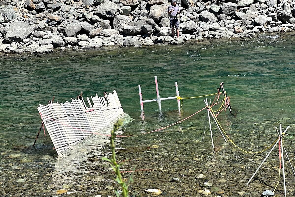 Jutting out from the river is the ARIS sonar equipment just down from the Vedder Bridge, counting salmon in the Lower Sumas/Chilliwack river system. (Jennifer Feinberg/ Chilliwack Progress)