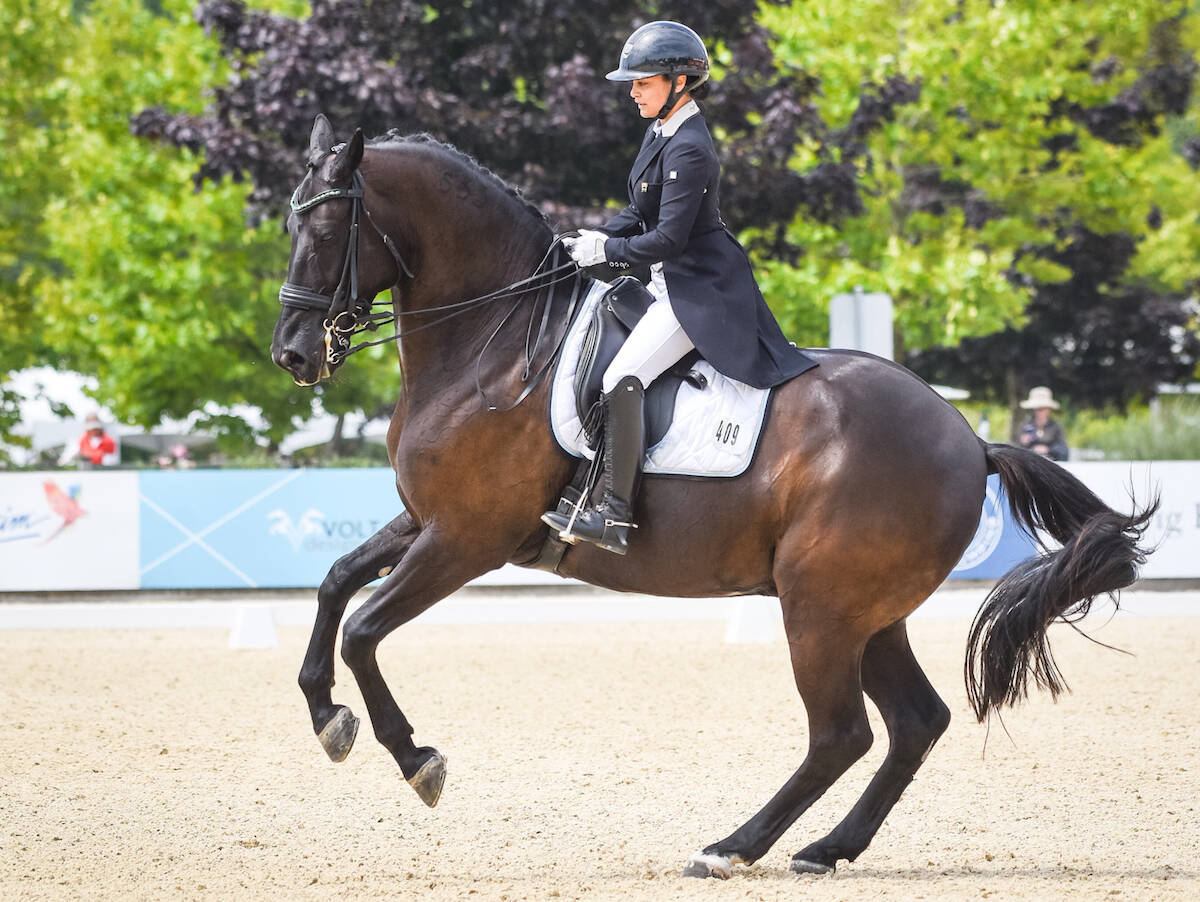 91原创 rider Gloria Schriever says Portuguese Sport Horse Hilton was too small for a friend, but a 聭perfect聮 size for her. (divineequine.ca/Special to 91原创 Advance Times)