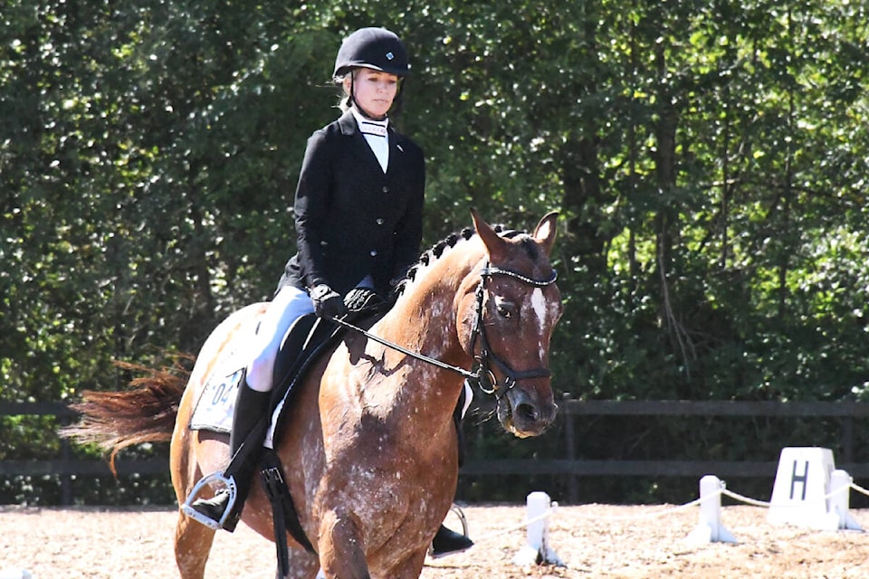 A rider competes in the dressage competition at Campbell Valley on Friday, Aug. 11. (Kyler Emerson/91ԭ Advance Times)