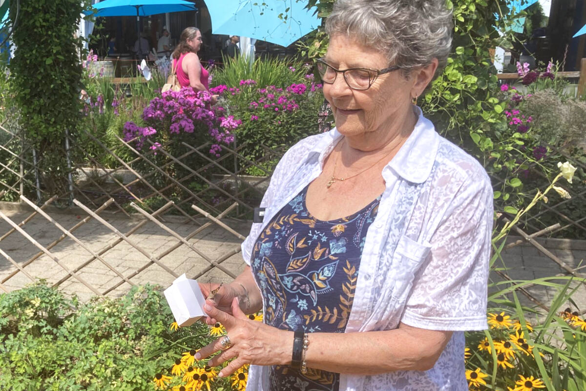 91ԭ hospice volunteer Donna Hudspeth released a butterfly to send a message to her dad at the butterfly release fundraiser on Saturday, Aug. 19. (Manfred Rossdeutscher/91ԭ hospice/Special to 91ԭ Advance Times)