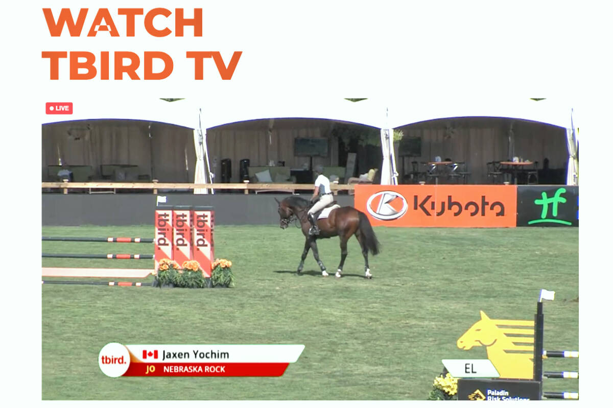 Watch show jumping live on tbird TV