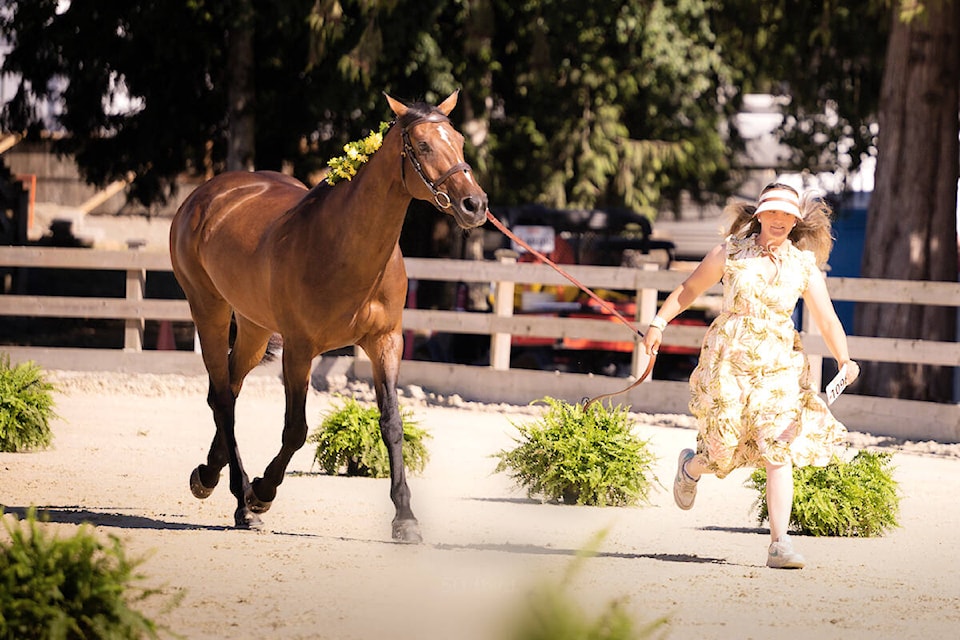 33626191_web1_230816-LAT-DF-Fort-Classic-Keith_1