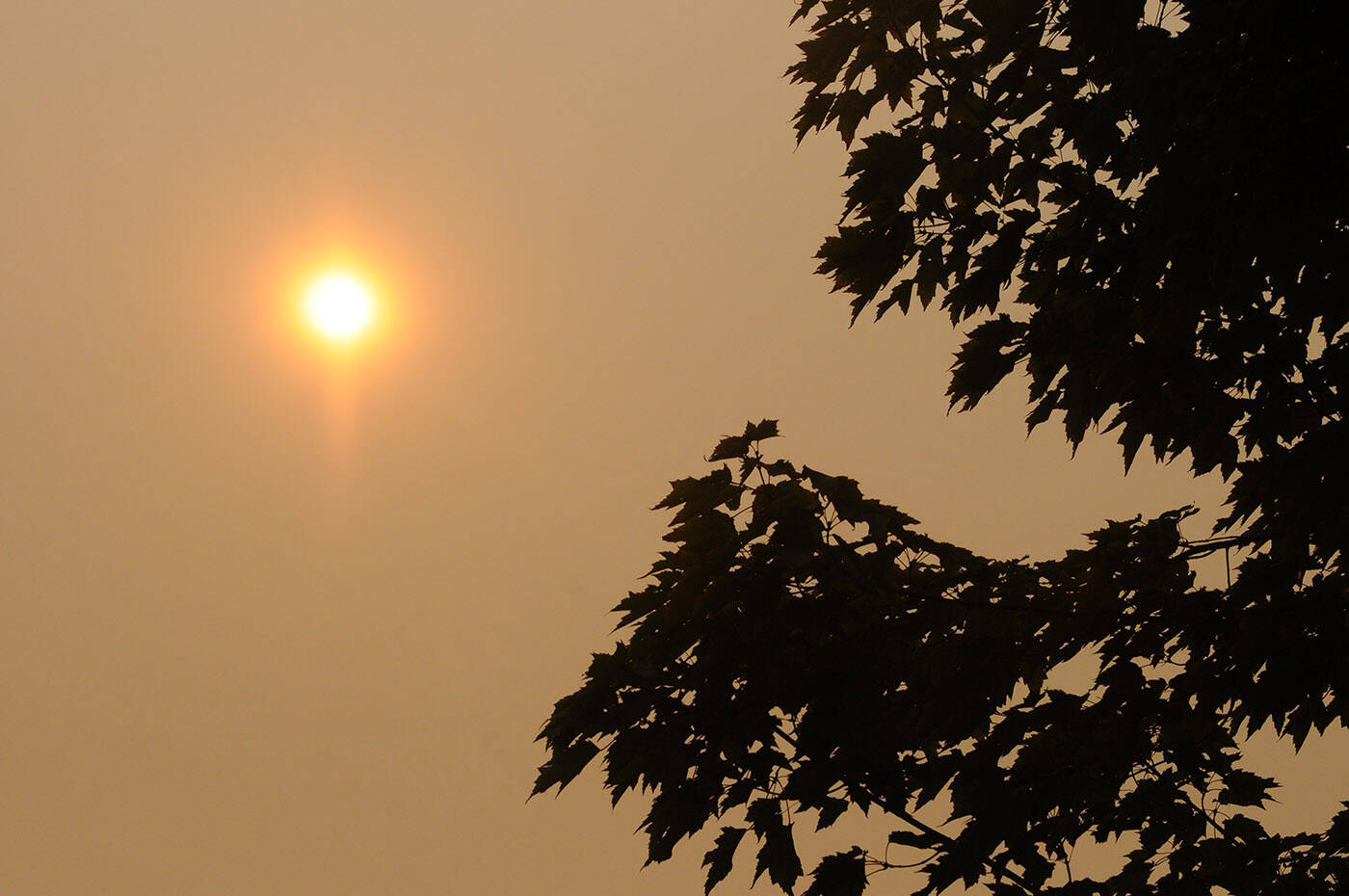 The sun is seen through thick wildfire smoke in Chilliwack on Sunday, Aug. 20, 2023. Environment Canada’s air quality health index value for the Eastern Fraser Valley was 10+ or ‘very high risk’ that day due to smoke from nearby wildfires. (Jenna Hauck/ Chilliwack Progress)