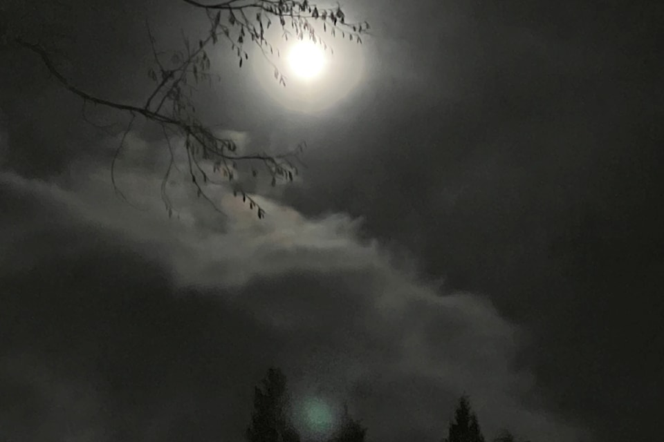 Christine Logan captured "a beautiful moon" in the skies over Maple Ridge early Sunday evening. Just to confirm, it was a full moon.