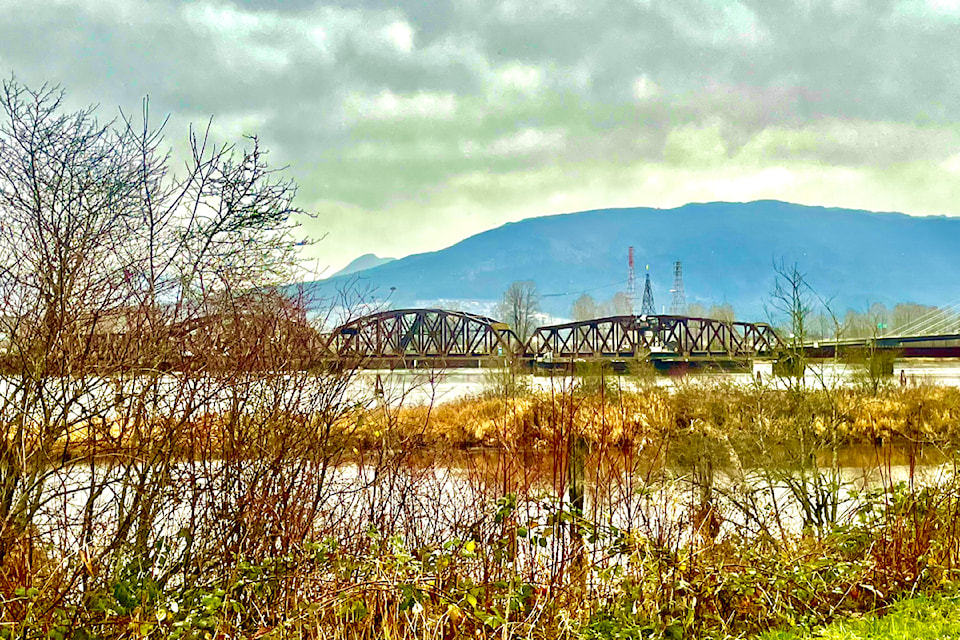After a huge Christmas feast, several locals will be taking advantage of breaks in the weather to get out and enjoy some fresh air and a walk along the dikes that traverse Pitt Meadows and Maple Ridge – among them is local outdoor enthusiast Ron Paley.