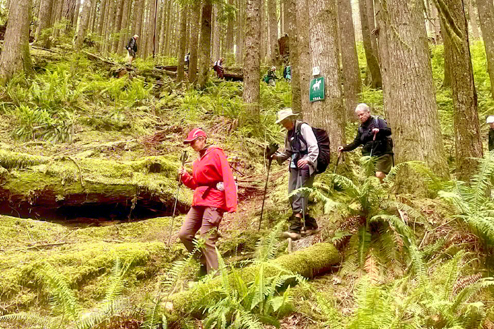 Twenty-eight members from Ridge Meadows Outdoor Club hiked in UBC Malcolm Knapp Research Forest recently. During their 9-km, almost three-hour trek to The Big Rock Lookout, they took a 20-minute break up top to enjoy the view before beginning their descent. Participant and local outdoor enthusiast Ron Paley grabbed a few shots along their journey. (Special to The News) 