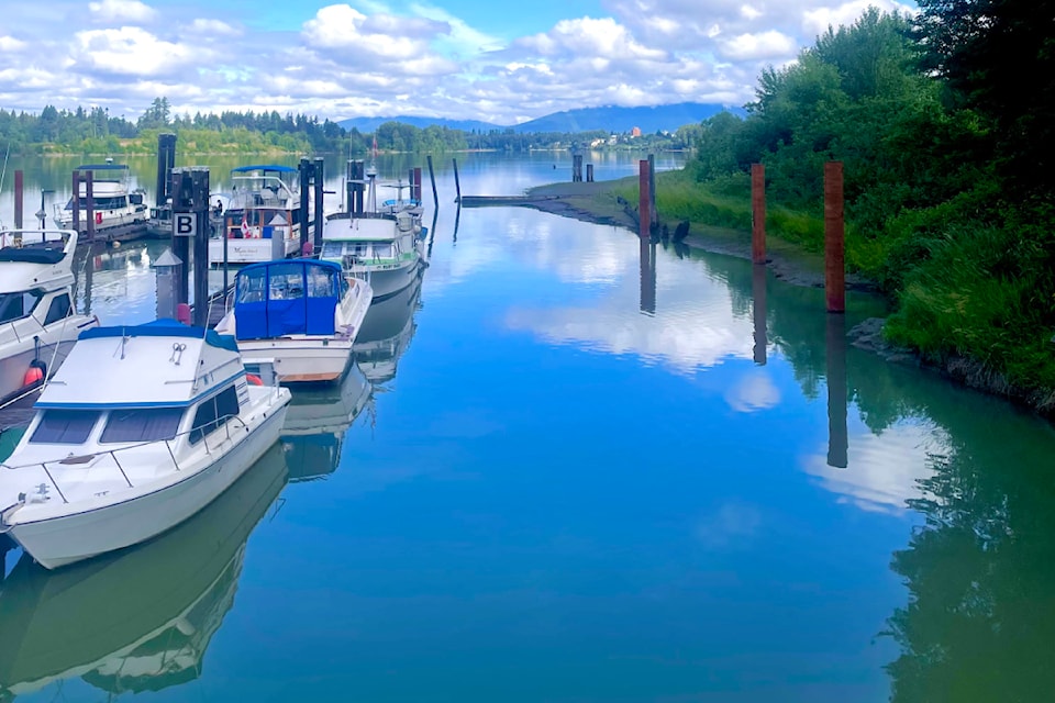 Ron Paley took a 23-km bike ride Friday that took him from his Hammond home out east to Albion. He stopped to grab pictures of the Fraser River from the boat launch on McKay Avenue, and other shots of the nearby Kanaka Creek.