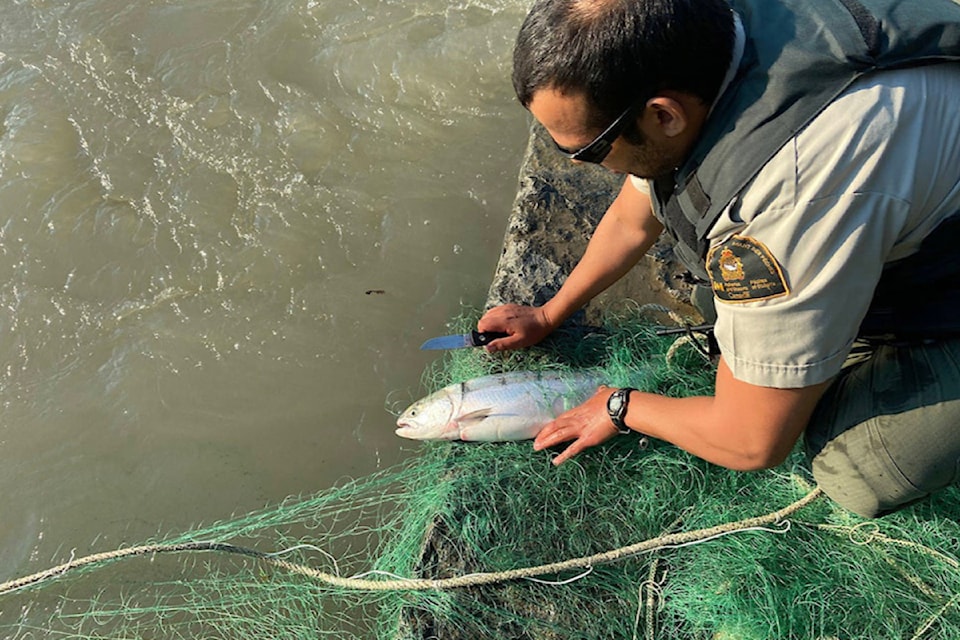 241127-mrn-nc-fisherman-fined