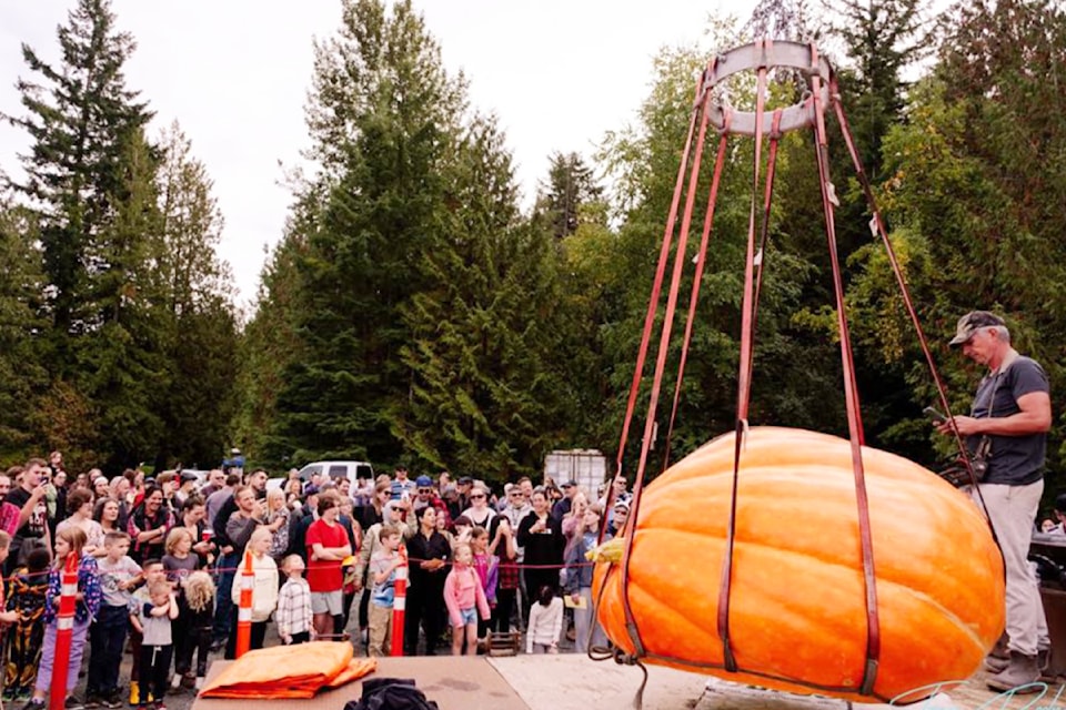 Trevor Halliday wins the Whonnock Giant Pumpkin Contest each year.