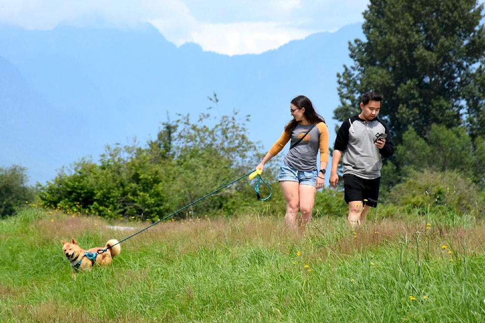 Jerry Sulina Park was named one of the top dog parks in Maple Ridge and Pitt Meadows in the 2024 A-list competition. 