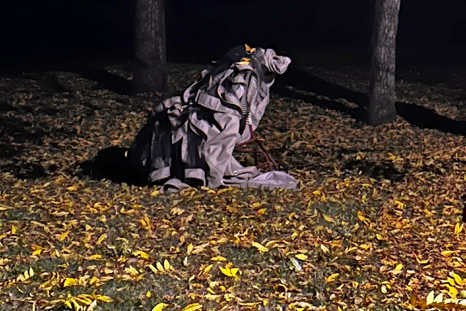 SHARE: Lozan Yamolky called it accidental art at Malcolm Knapp UBC Research Forest. Some see a dog, others thought it was a bear. Either way, Yamolky has received several compliments on his unexpectedly artistic use of a tarp. “Someone suggested I spray Gorilla Glue on it, to save the structure.” 