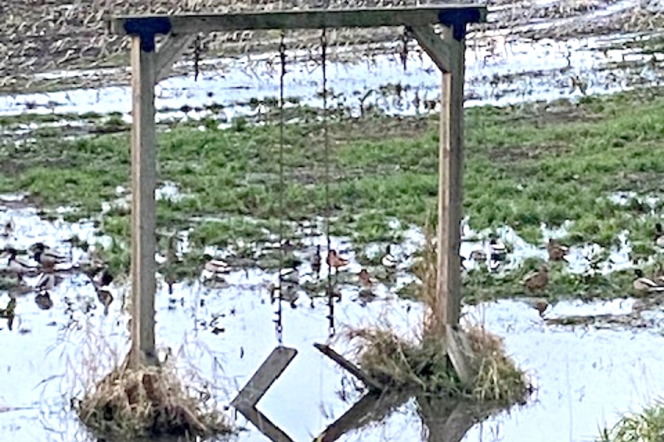 Capturing the changing of seasons, Doug Henri snapped this picture of a hand-made swing set abandon along side the Alouette River dikes, in a harvested corn field.