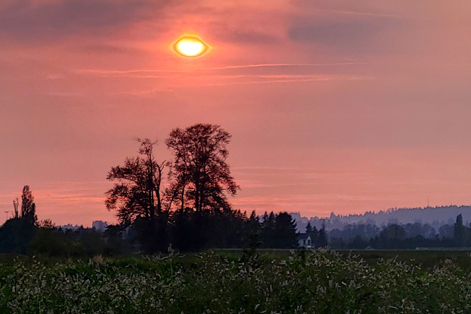 Pitt Meadows' resident Sara Newitt captured a brilliant scenic picture of the sun and sky as taken along 203 Street between Dewdney Trunk Road and Abernethy Way.

