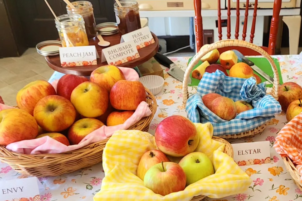 240927-mrn-bt-appleharvestfest