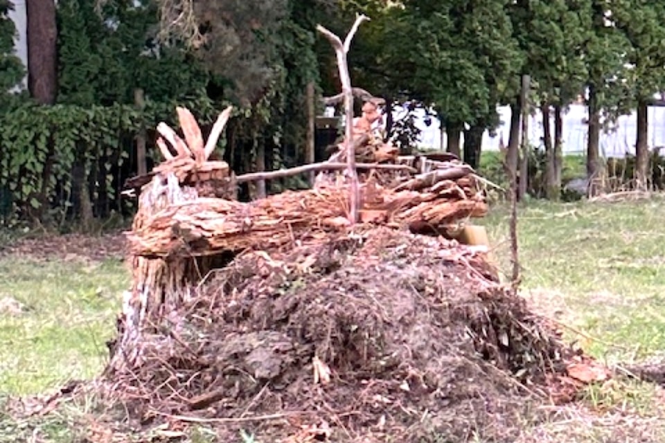 240908-mrn-rh-lens-hayekstump1