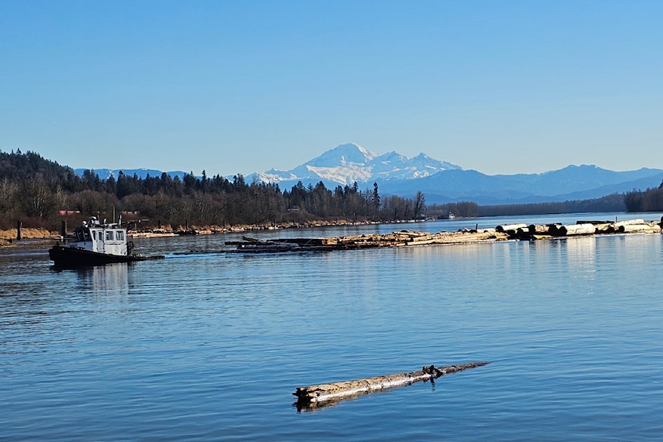 Robert Garelli, who lives in the Cottonwood neighbourhood of Maple Ridge, he hit his favourite fishing spot and the confluence of the Stave and Fraser River. "I saw an expert captain pass with his large load of logs under the CPKC bridge as easily as putting his car in the garage," Garelli thought. "Common, but amazing river stories."
