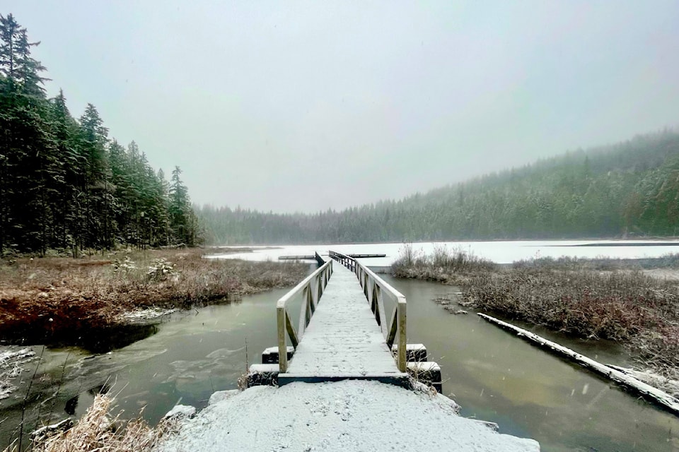 Ahead of heavy snows that came this weekend, local outdoors enthusiast Ron Paley headed up to Golden Ears Provincial Park for a bit of a hike. He traversed from the main corral to the Upper Incline Trail on Alouette Mountain, then came back down the Eric Dunning Trail and along the Alouette Valley Trail. "Snow was coming down heavy at times at the higher elevations," he recalled of Saturday's trek.