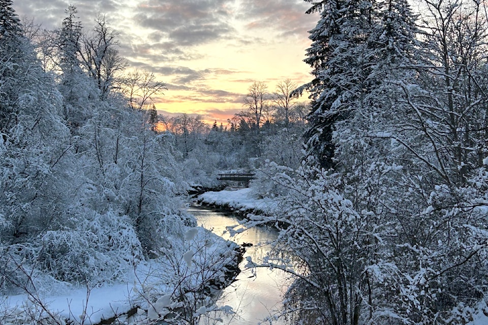 On a walk Tuesday night, Sheila Williamson snapped a picture of the snow-laden Kanaka Creek with the sun setting in the distance.