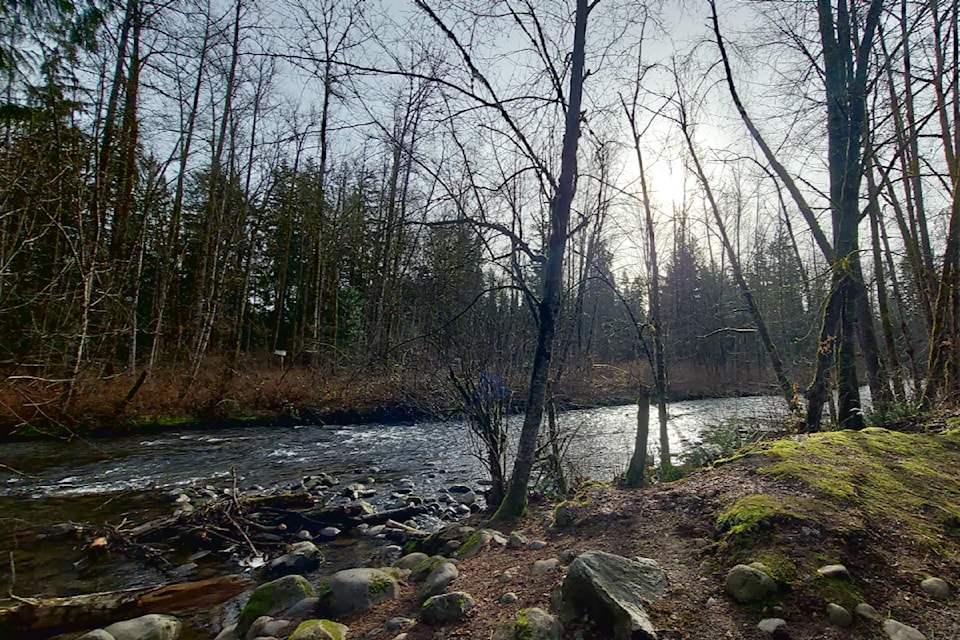 Albion resident Sandra Sanchez shared a few pictures taken a week before the snow started to fly at Maple Ridge Park.
