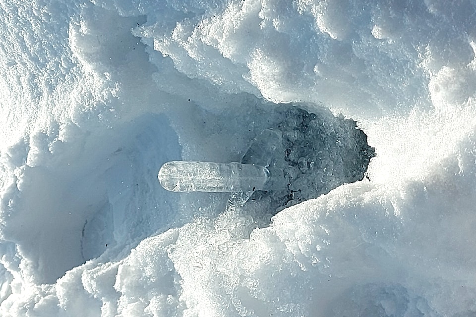 Carlos Sarradet discovered this stalagmite or unexpected ice formation in his Maple Ridge front yard recently.