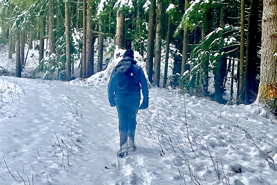 Fifteen die-hard members of the Ridge Meadows Outdoors Club headed to UBC Malcolm Knapp Research Forest last week for a little fun in the snow. A few members buckled on their snowshoes and broke trails in the -5C temperatures so the team could hike up to Marion Lake and then detoured back on the old weather station route.