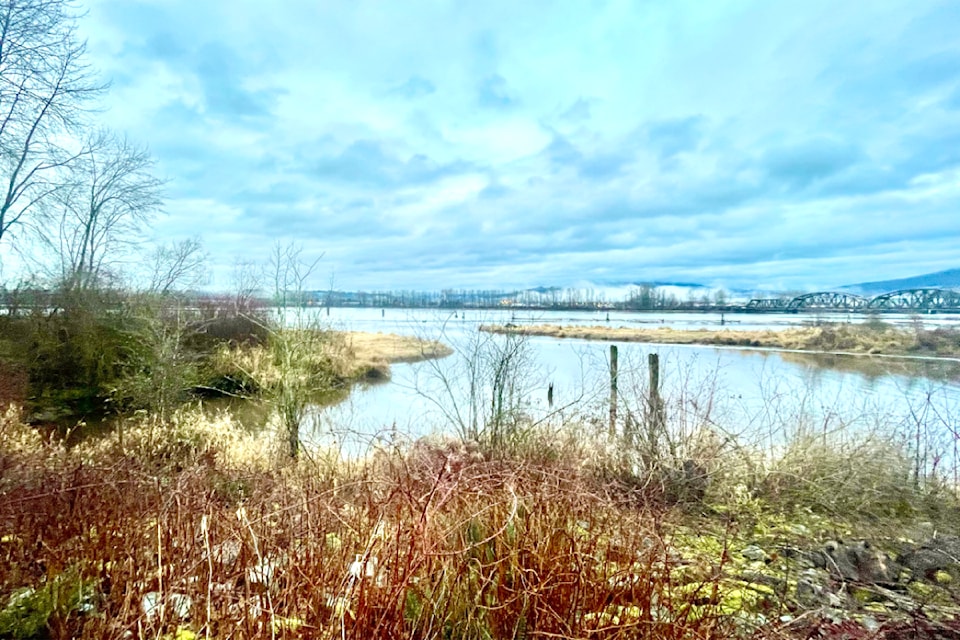 Local Ron Paley snapped a few pictures of the rail bridge crossing the Pitt River early Saturday morning, before the onslaught of rain hit.