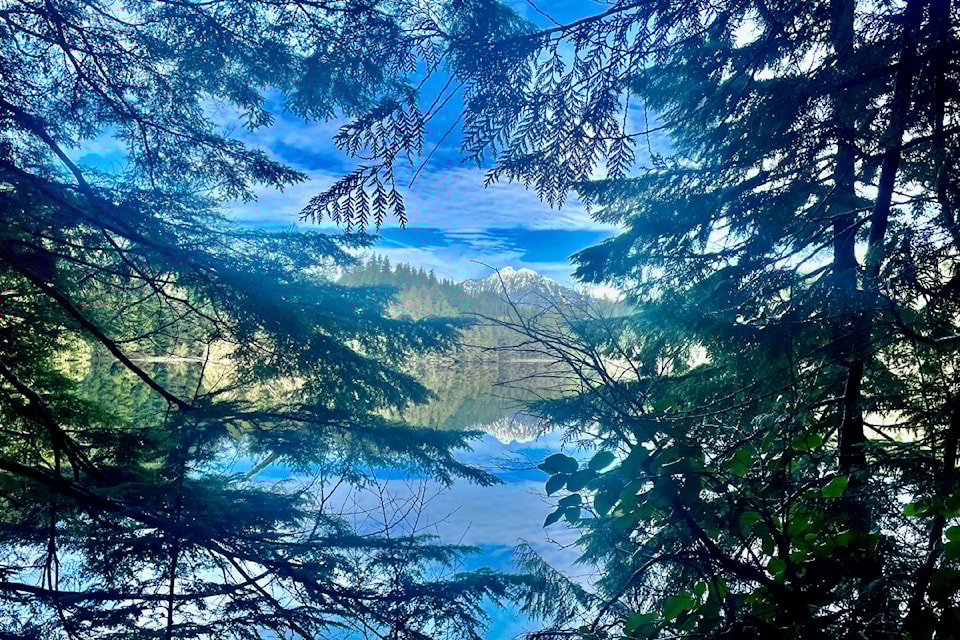 Wednesday, Feb. 26, offered ideal weather for 11 members of the Ridge Meadows Outdoors Club to hike up to, and above Loon Lake in UBC's Malcolm Knapp Research Forest in northeast Maple Ridge. Member Ron Paley described it as "Perfect weather for a long hike" when sharing his most recent photographs.