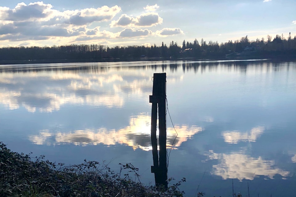Susan Glenister took a stroll through Kanaka Creek Regional Park on a sunny winter's day recently, and snapped a few photo that show wispy clouds reflecting off the rather still Fraser River.