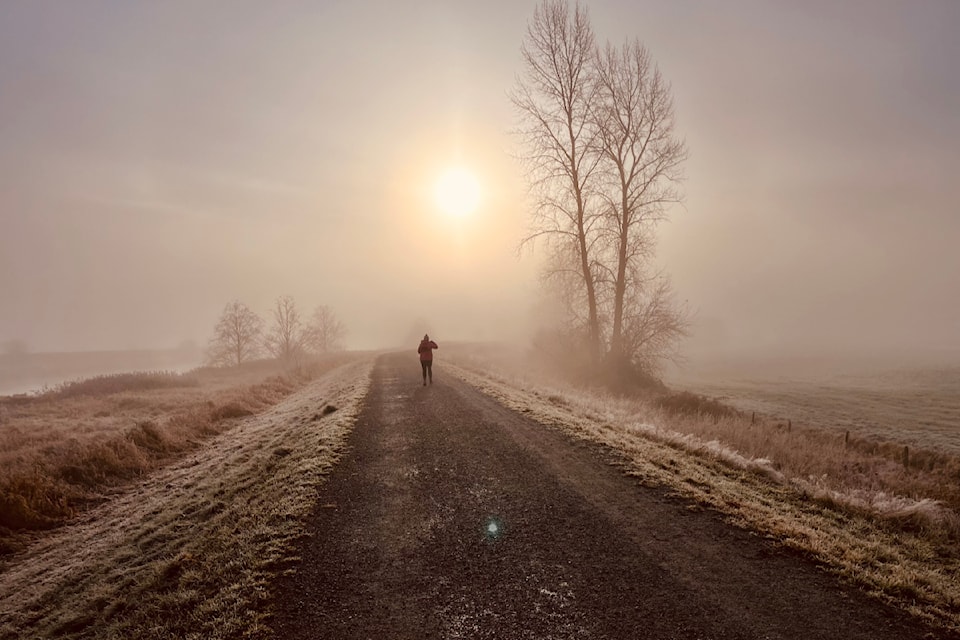 Bill Vernon shared a few pictures taken recently along the dikes in Pitt Meadows.