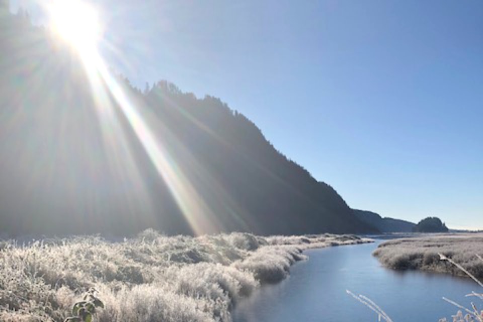 During a stroll Friday along the Swan Dyke Trail at Pitt Lake, Maple Ridge's Anne Busch was inspired to take a photo of the sun colliding with nearby mountains and some late morning frost.