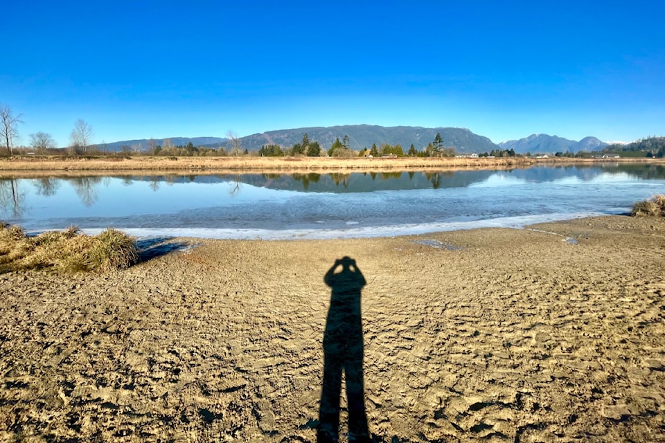 Maple Ridge outdoor enthusiast Ron Paley hit the dikes on a recent sunny day and shared some of his photos taken on that trek.