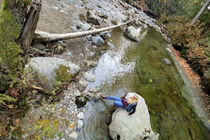 Relax in nature in Maple Ridge, Pitt Meadows